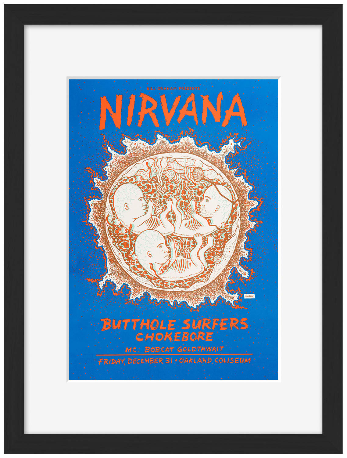 Concerts - Nirvana - Butthole Surfers