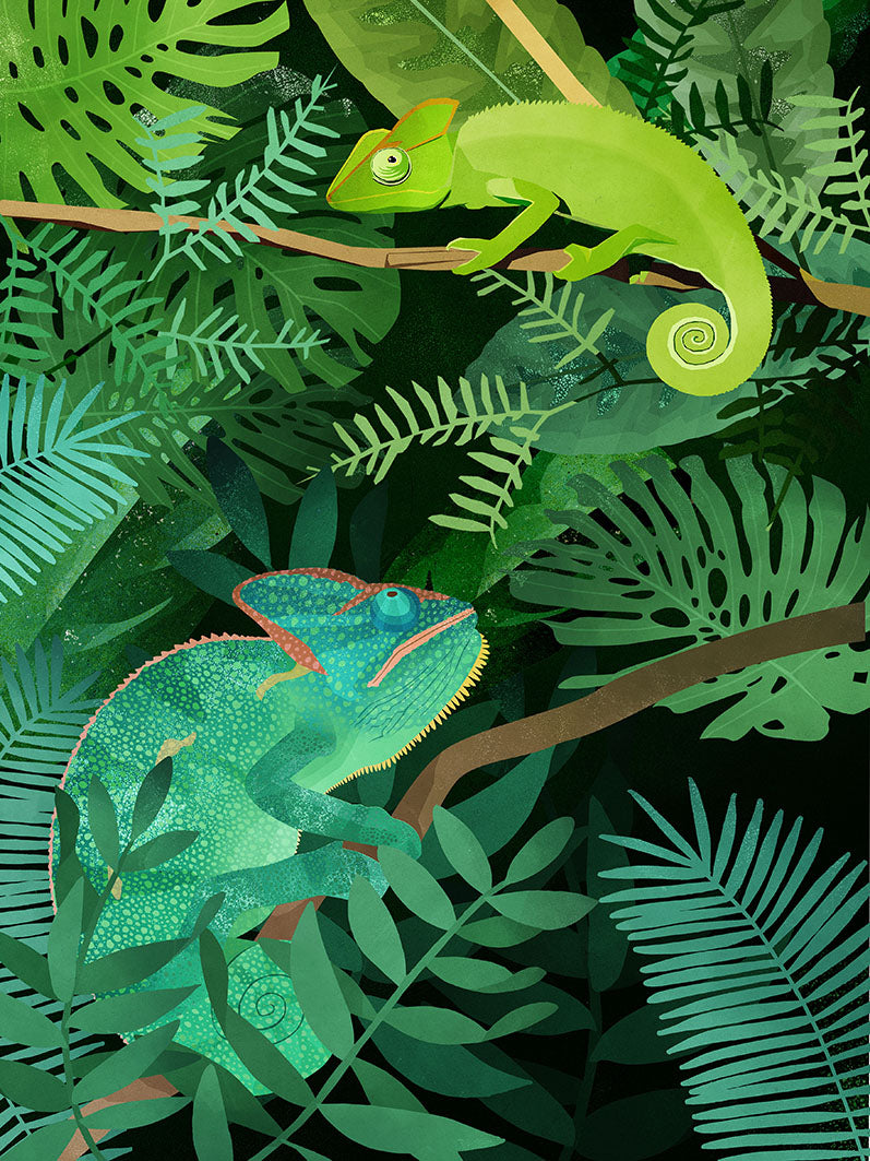Goed Blauw - Chameleons