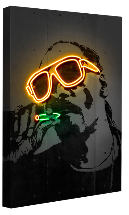 Neon Art -  Snoop