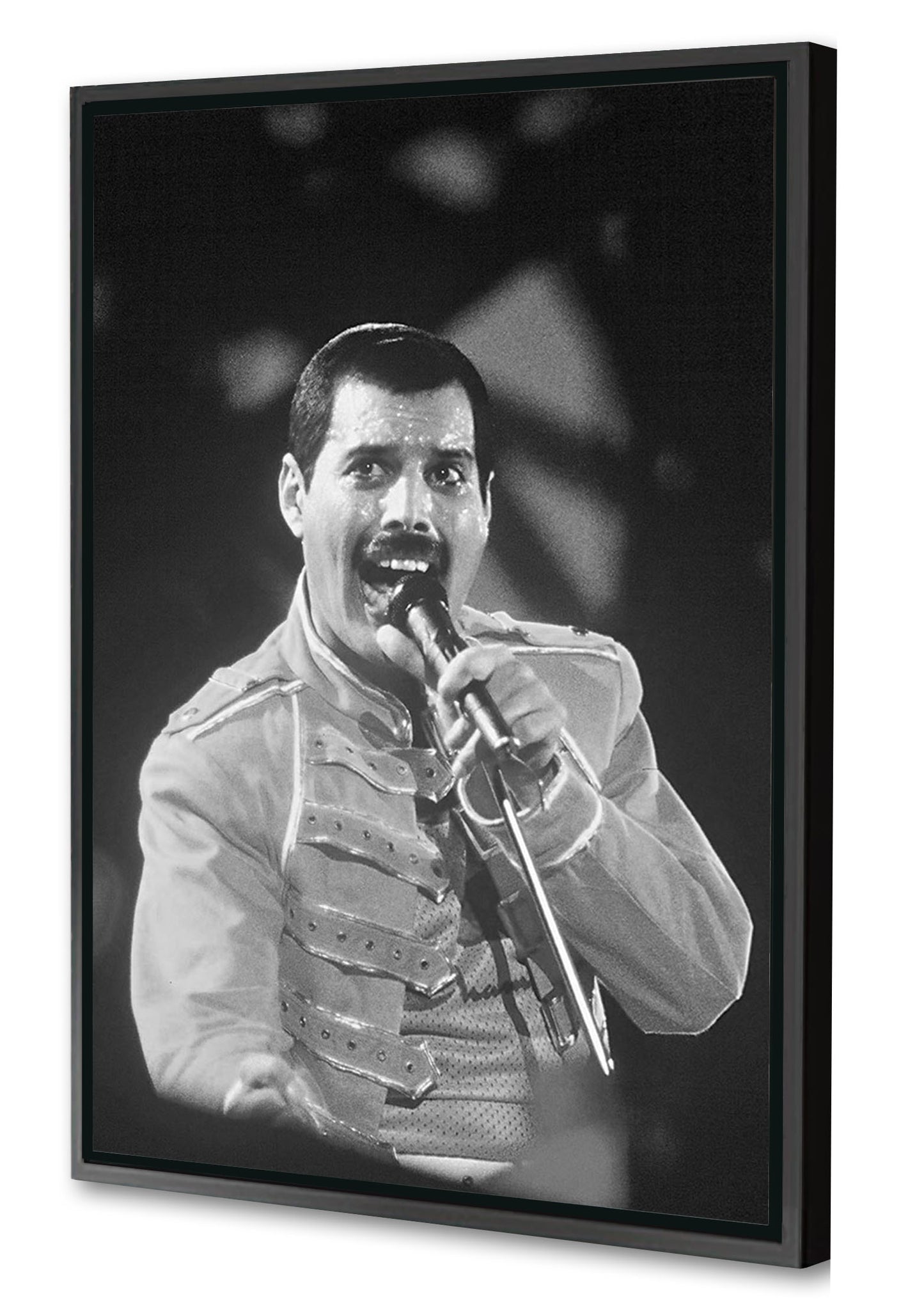 Portraits (B&W) -  Freddie Mercury Wembley