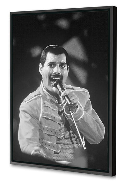 Portraits (B&W) -  Freddie Mercury Wembley