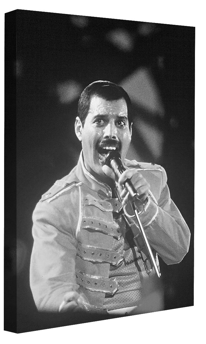 Portraits (B&W) -  Freddie Mercury Wembley