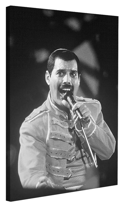 Portraits (B&W) -  Freddie Mercury Wembley