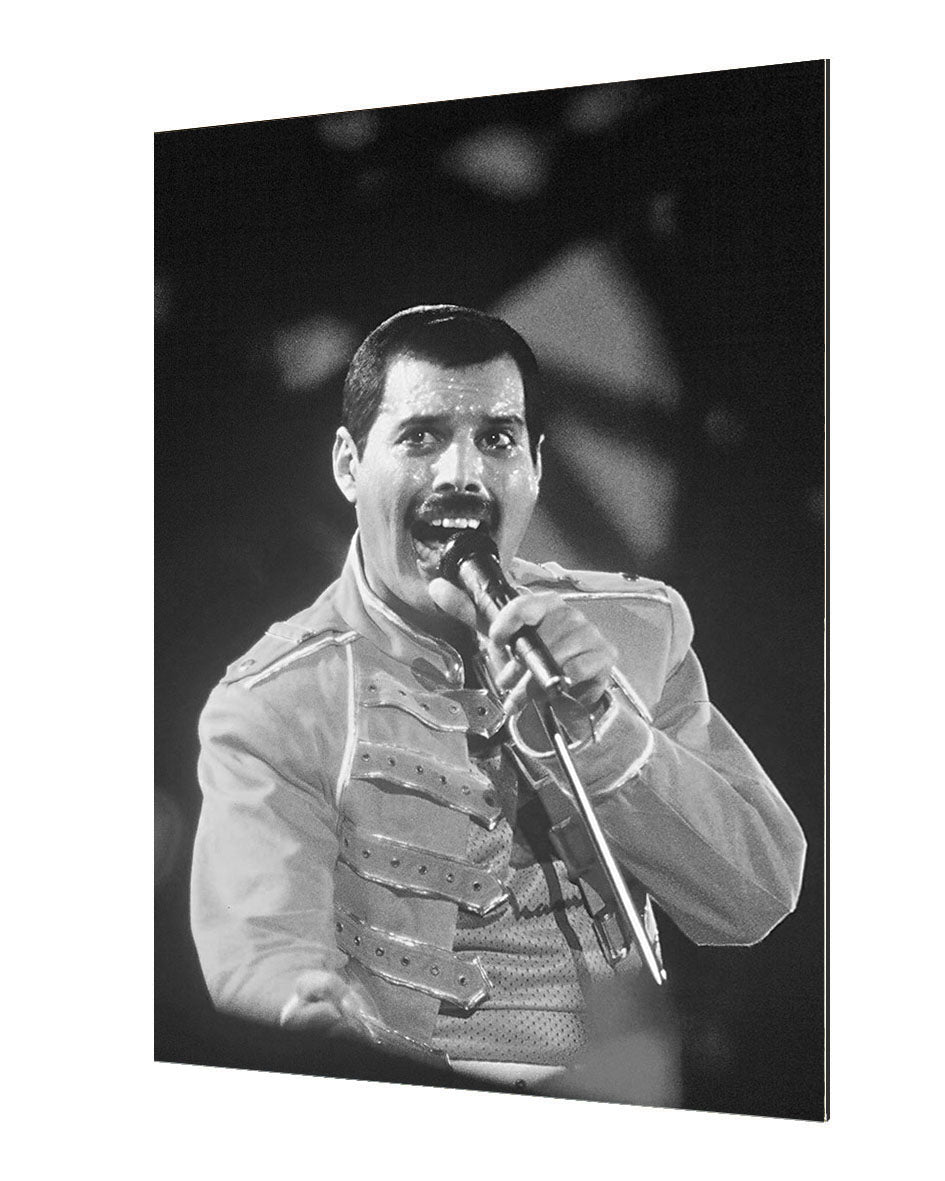 Portraits (B&W) -  Freddie Mercury Wembley