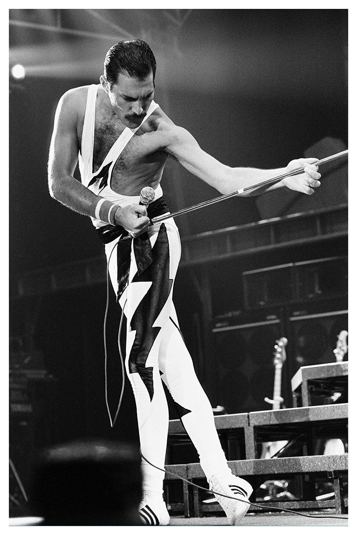Portraits (B&W) -  Freddie Mercury on stage