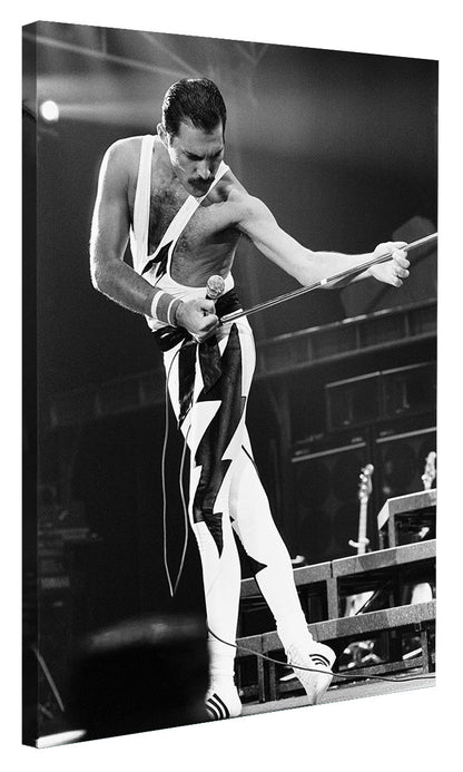 Portraits (B&W) -  Freddie Mercury on stage