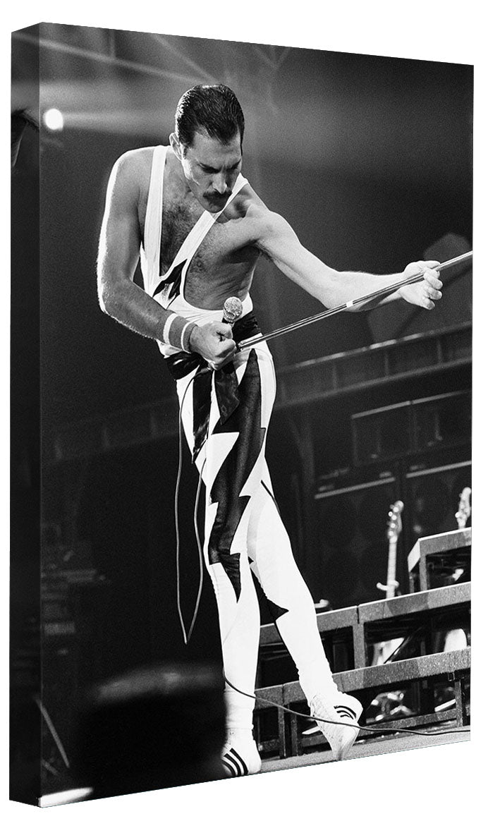 Portraits (B&W) -  Freddie Mercury on stage