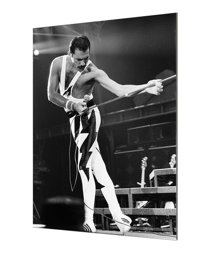 Portraits (B&W) -  Freddie Mercury on stage