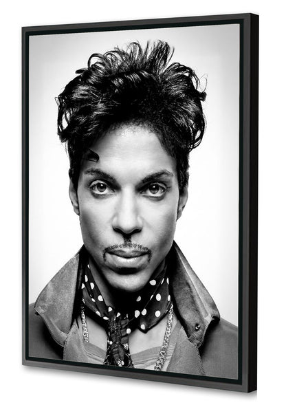 Portraits (B&W) -  Prince