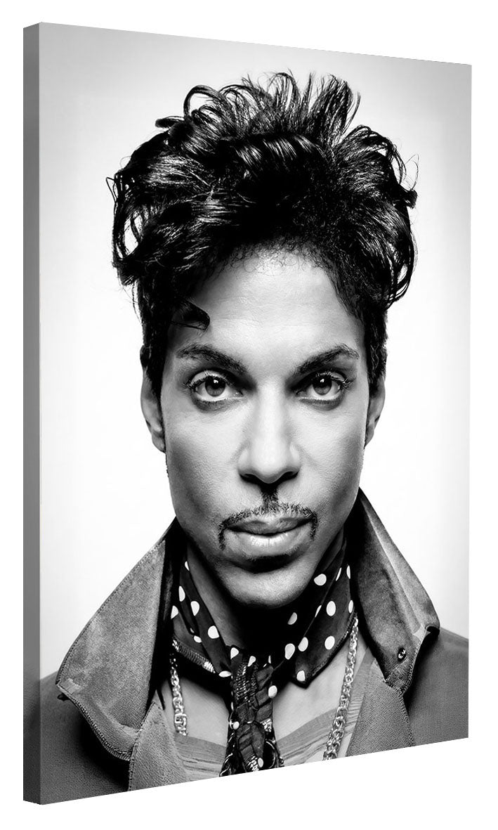 Portraits (B&W) -  Prince