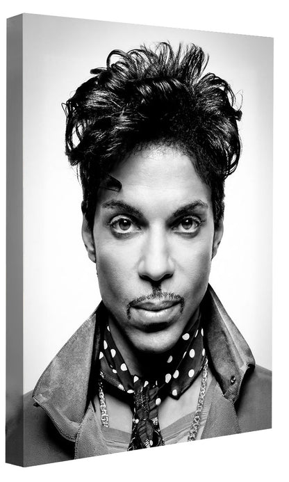 Portraits (B&W) -  Prince