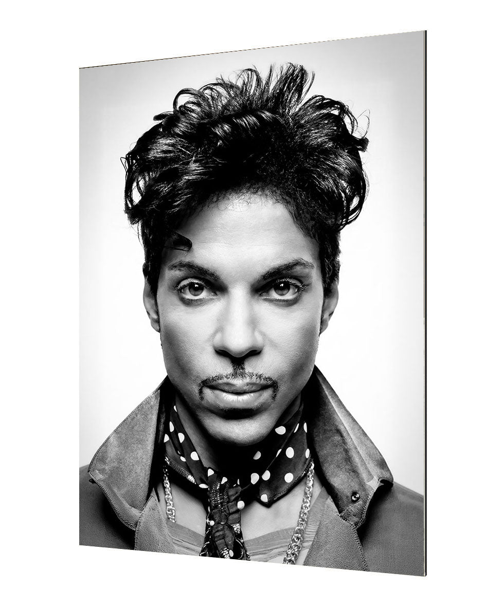 Portraits (B&W) -  Prince