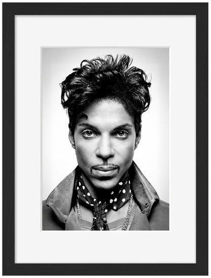 Portraits (B&W) -  Prince