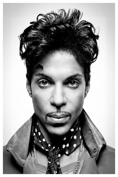 Portraits (B&W) -  Prince
