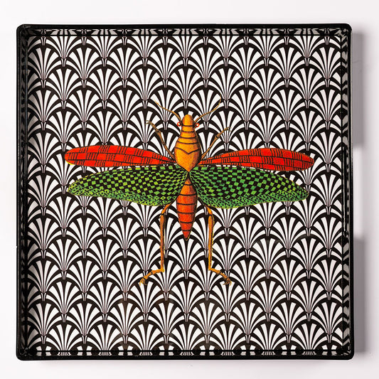 Insect 1 - 33 x 33 cm