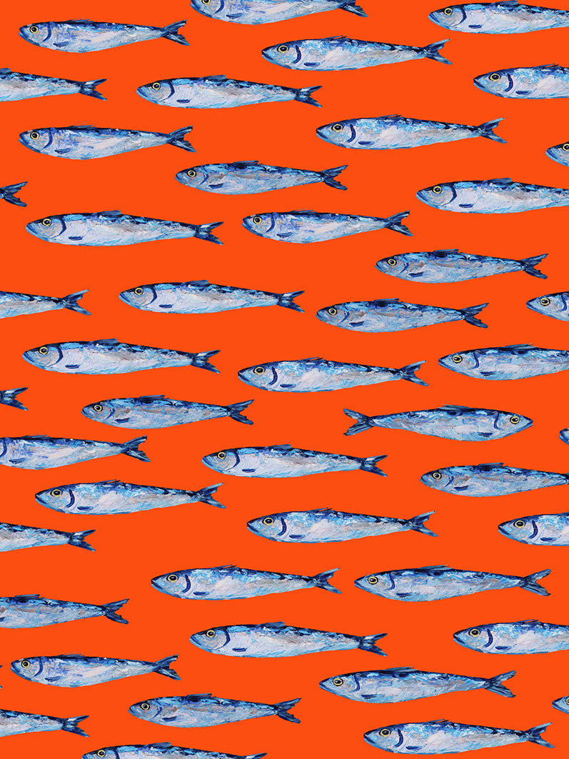 Alice Straker - Sardines Swimming Orange