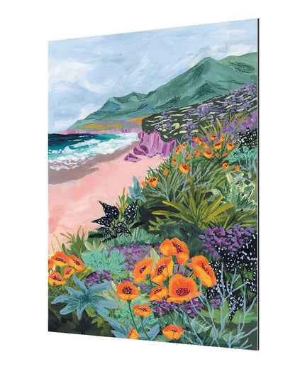 Sarah Gesek - Coastalbluffs