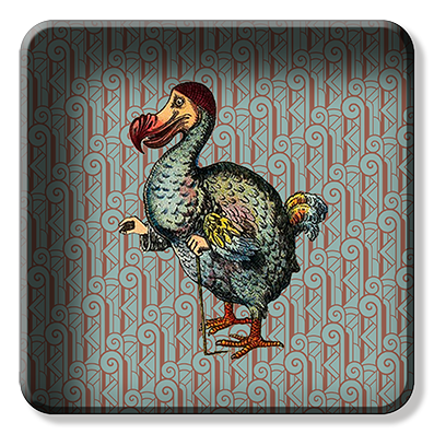 Square Trays -  Dodo 1