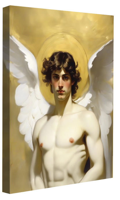 Le garçon fantastique - Raphael