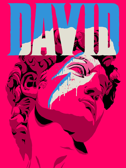 Butcher Billy -  Reversed David