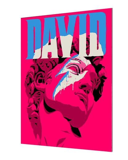 Butcher Billy -  Reversed David