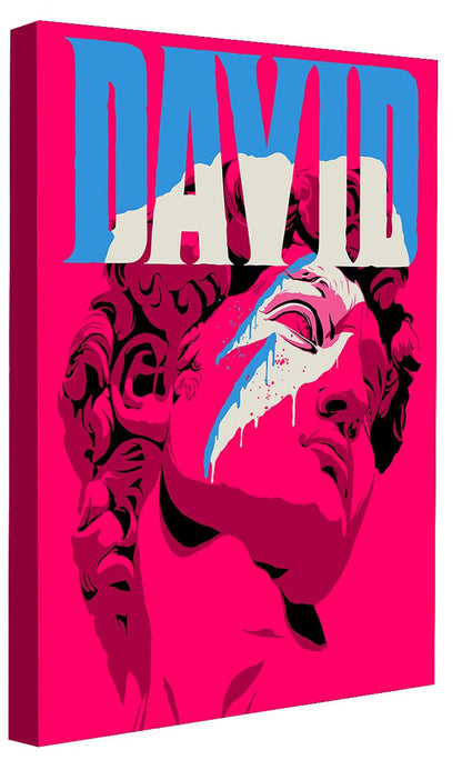 Butcher Billy -  Reversed David