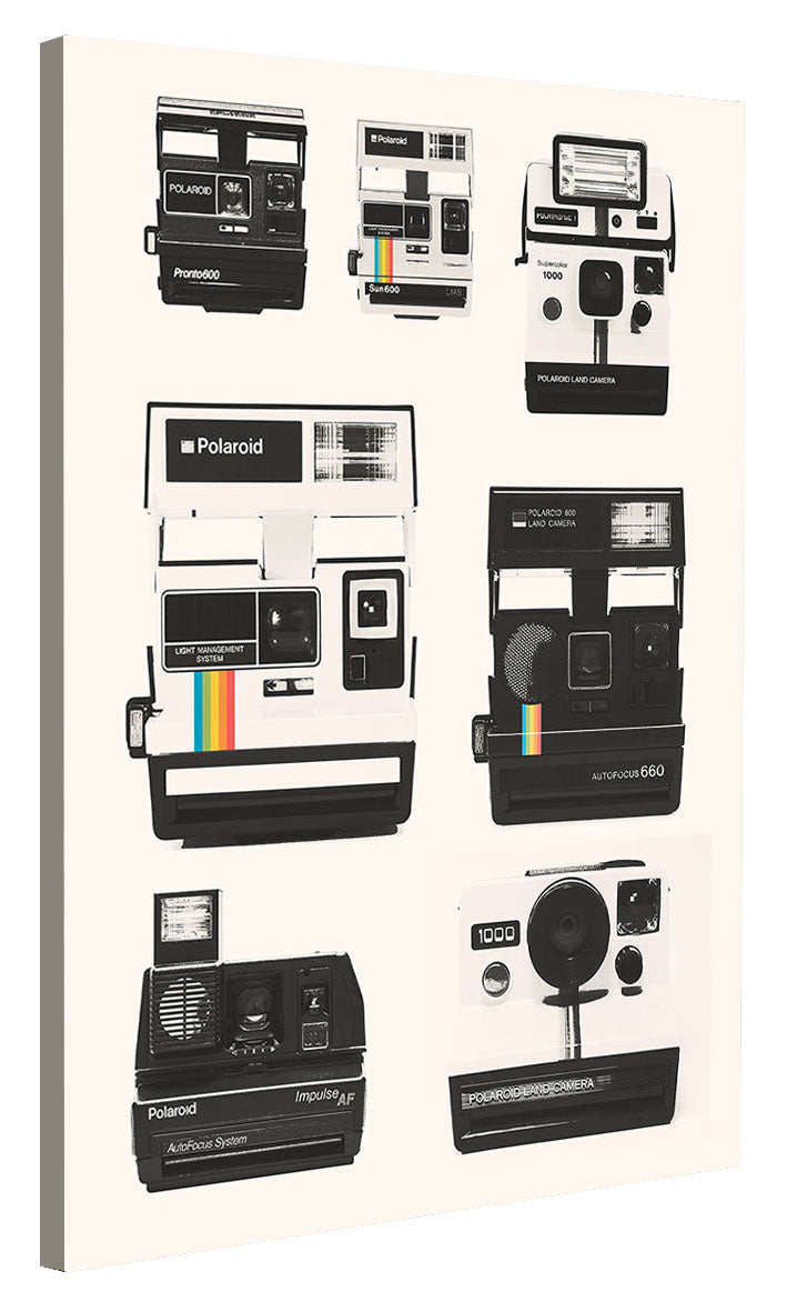Florent Bodart - Instant Camera Collection