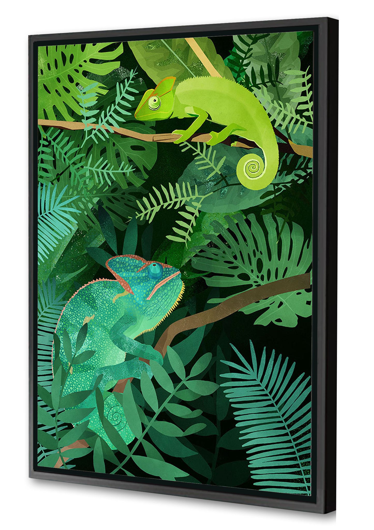 Goed Blauw - Chameleons