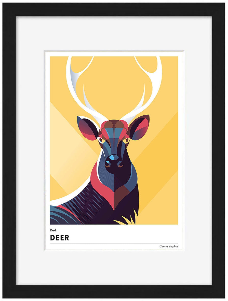 Mark Harrison -  Animal Deer