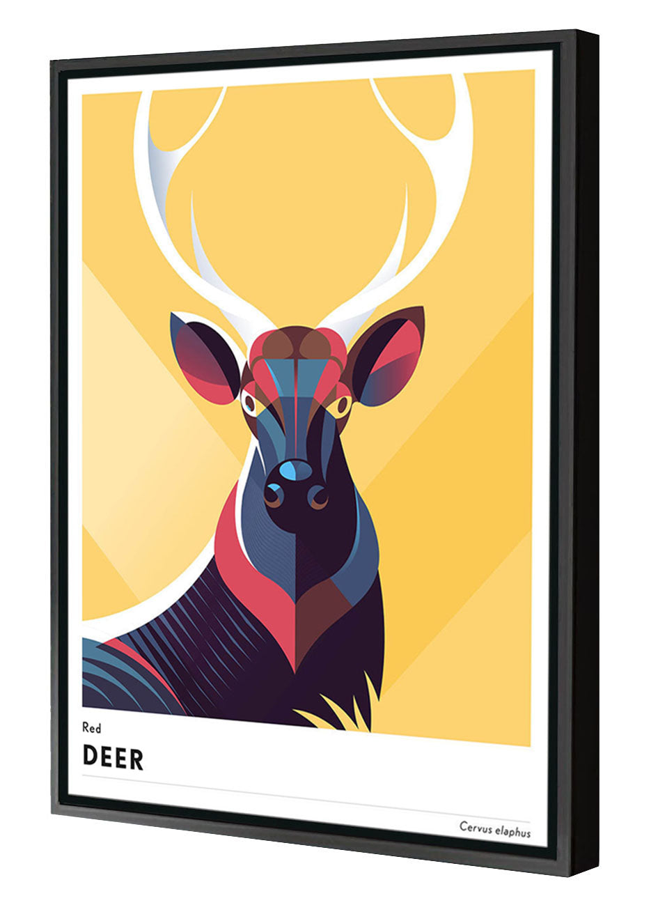 Mark Harrison -  Animal Deer