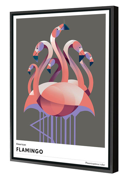 Mark Harrison -  Animal Flamingo
