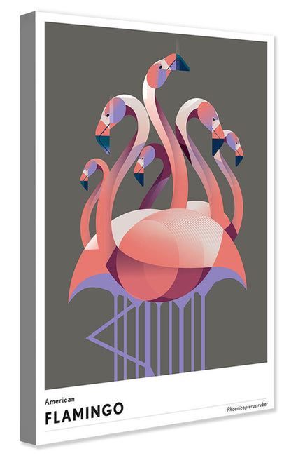 Mark Harrison -  Animal Flamingo