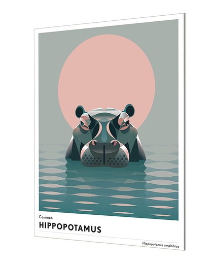Mark Harrison -  Animal Hippopotamus