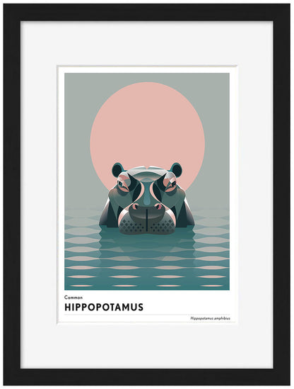 Mark Harrison -  Animal Hippopotamus