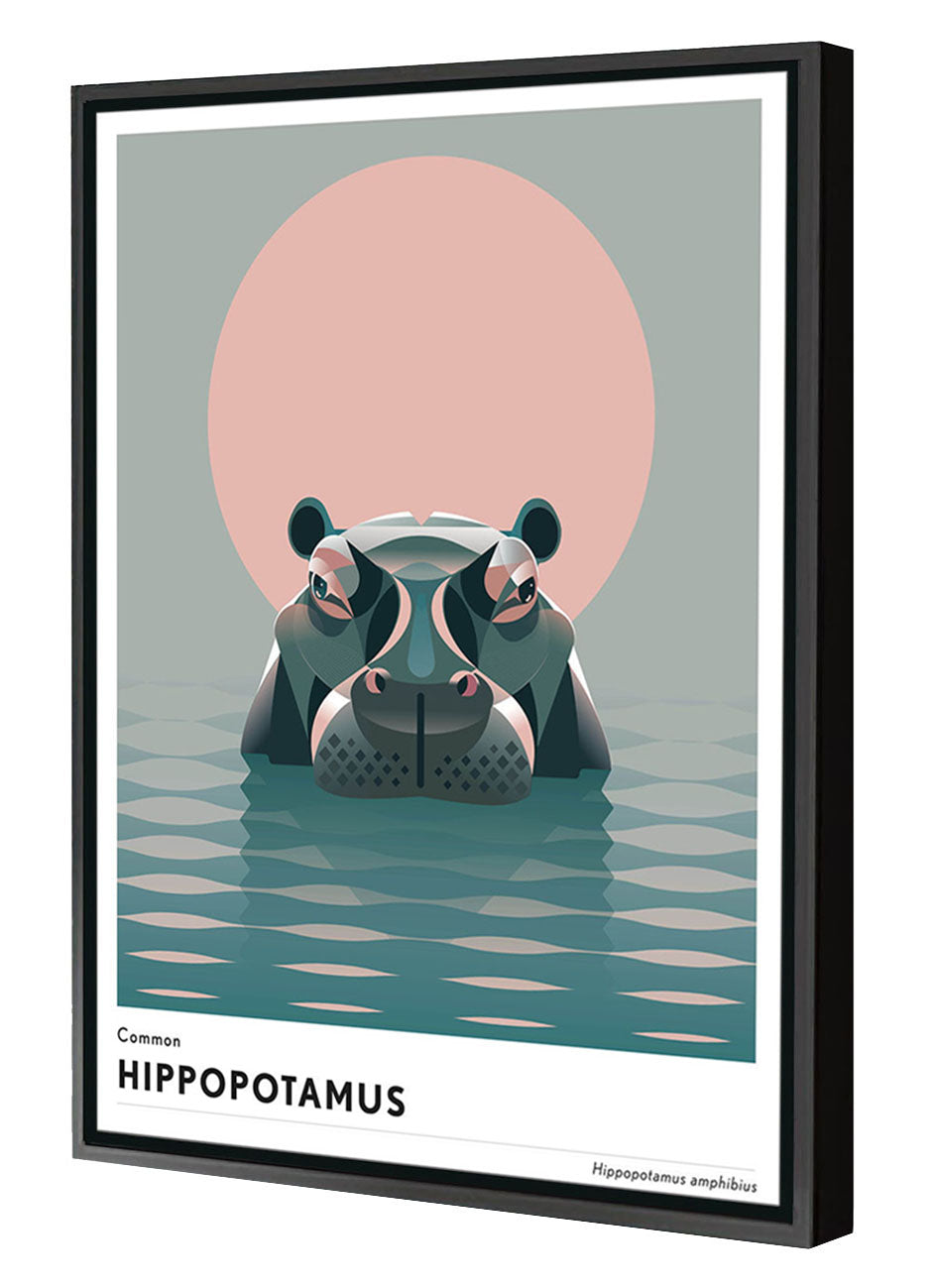 Mark Harrison -  Animal Hippopotamus