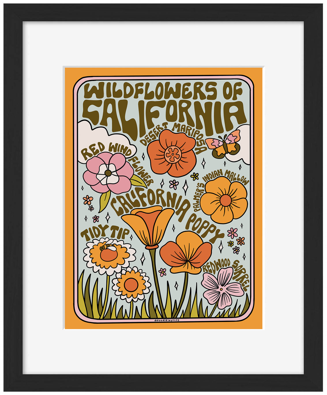 Meghan Wallace -  California Wildflowers