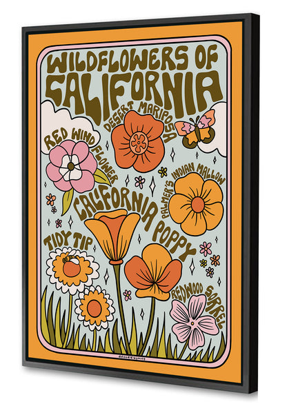Meghan Wallace -  California Wildflowers