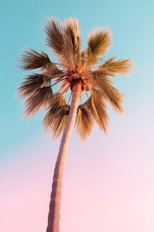 Philippe Hugonnard -  California Dreaming The Pastel Palm