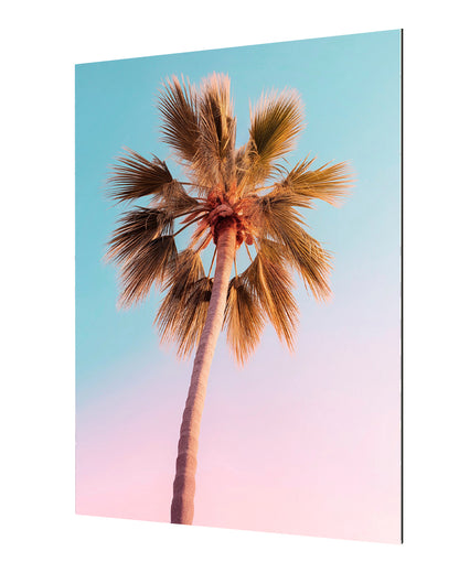 Philippe Hugonnard -  California Dreaming The Pastel Palm