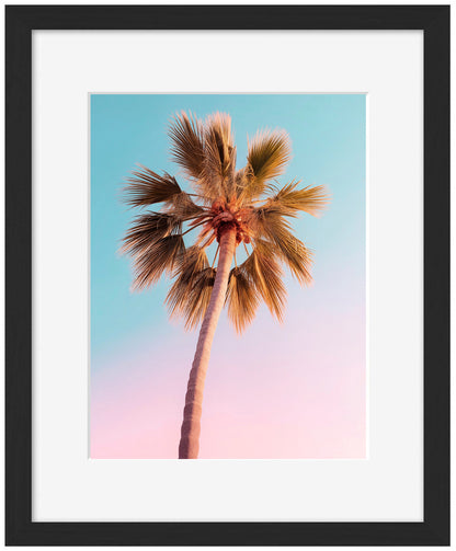 Philippe Hugonnard -  California Dreaming The Pastel Palm