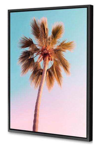 Philippe Hugonnard -  California Dreaming The Pastel Palm