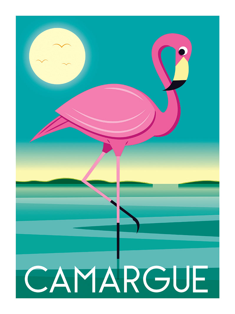 Raphaël Delerue -  Camargue