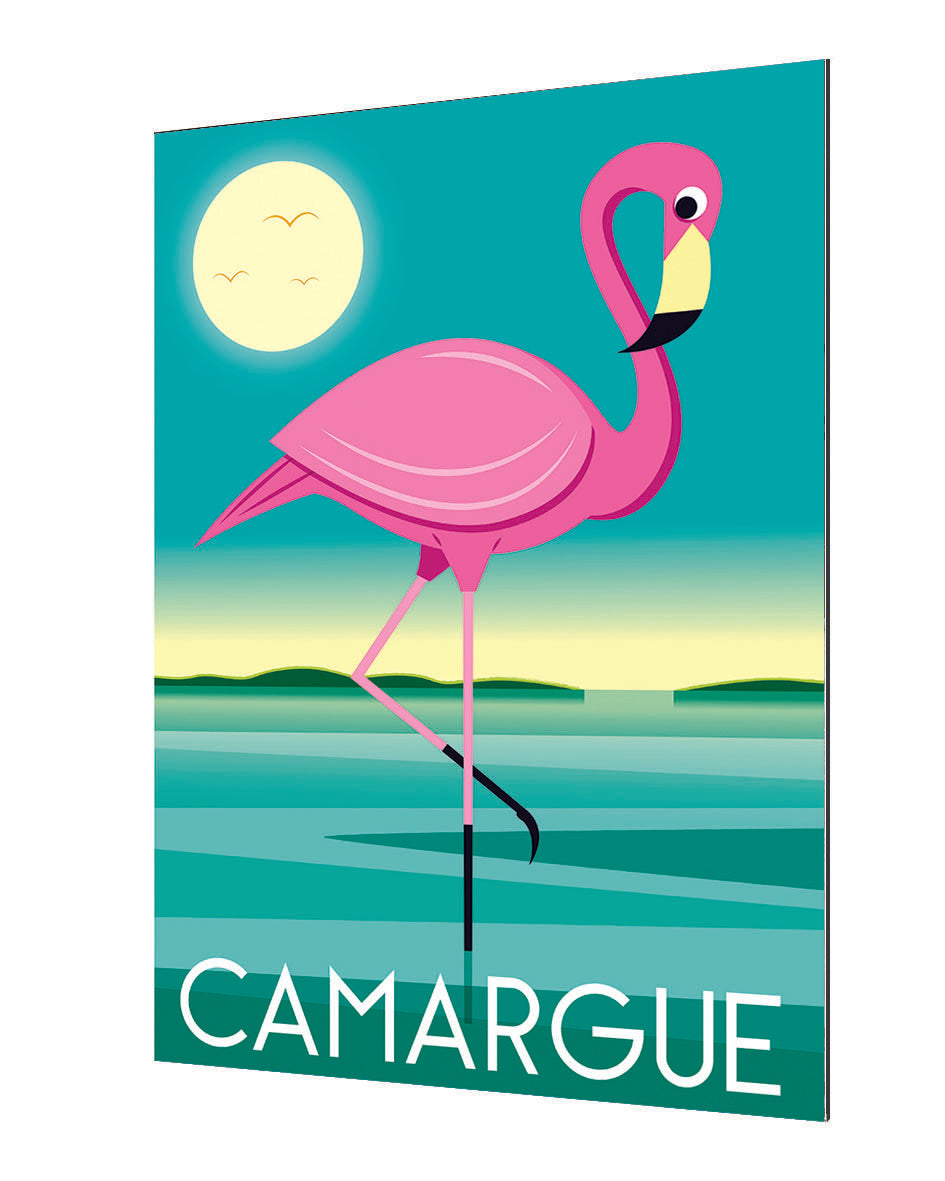 Raphaël Delerue -  Camargue