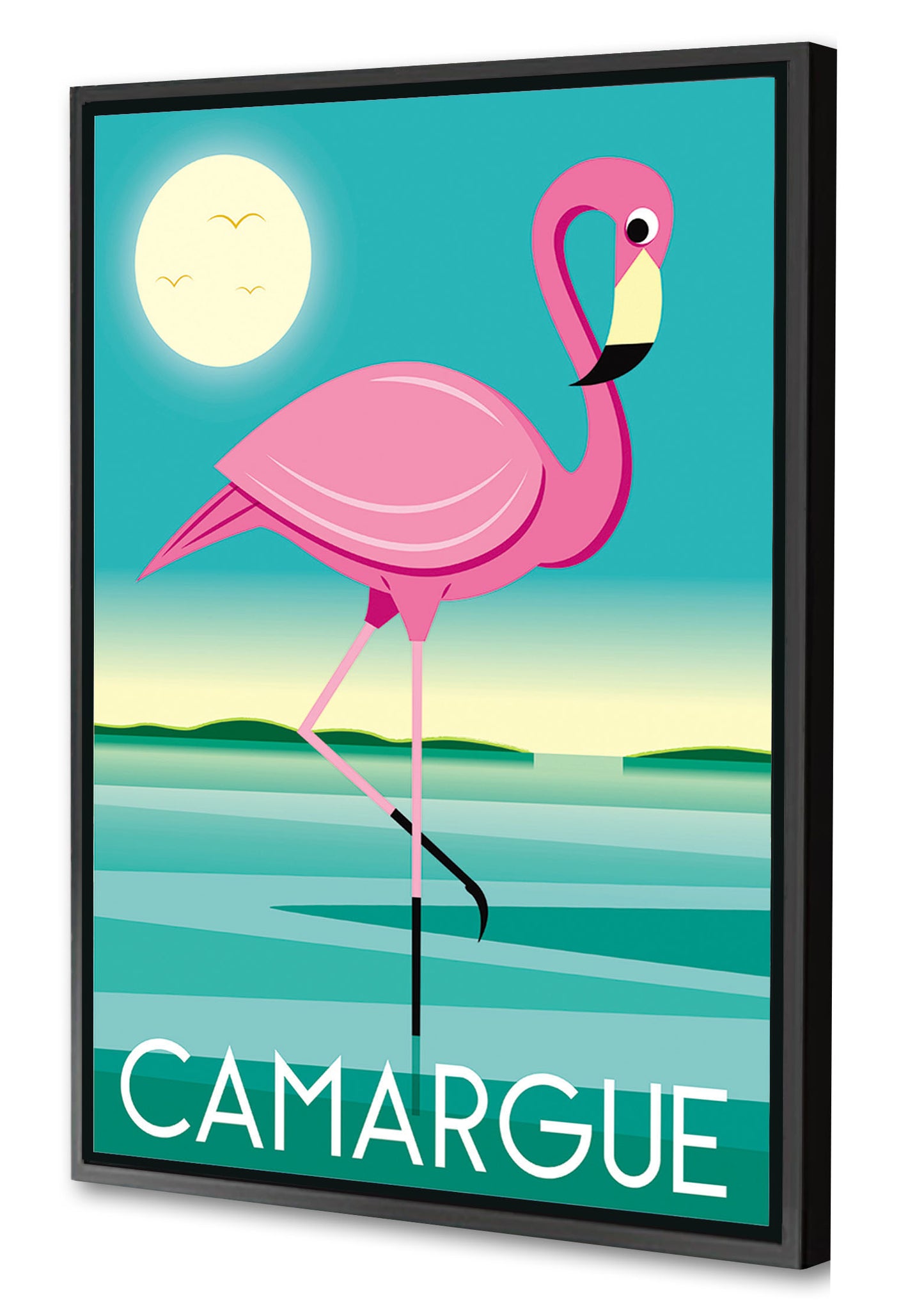 Raphaël Delerue -  Camargue