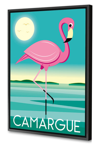 Raphaël Delerue -  Camargue