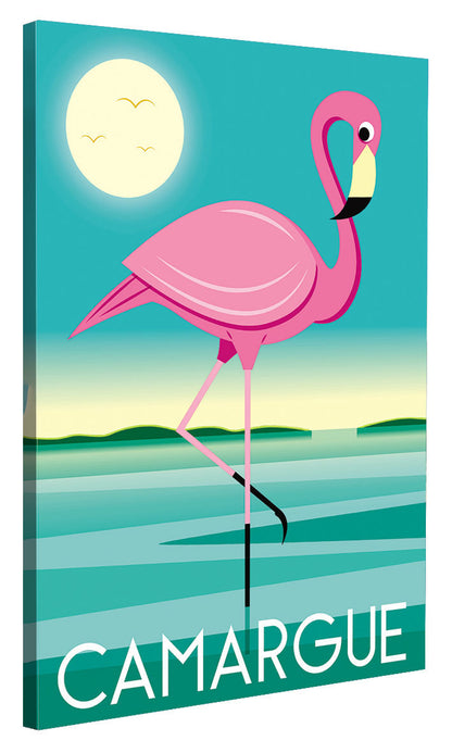 Raphaël Delerue -  Camargue