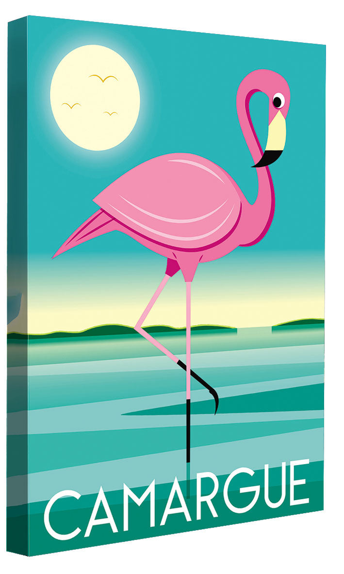 Raphaël Delerue -  Camargue