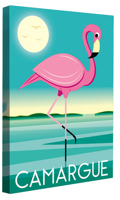 Raphaël Delerue -  Camargue