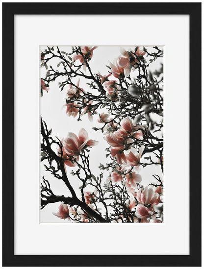 Studio Nahili -  Beautiful Blush Magnolia