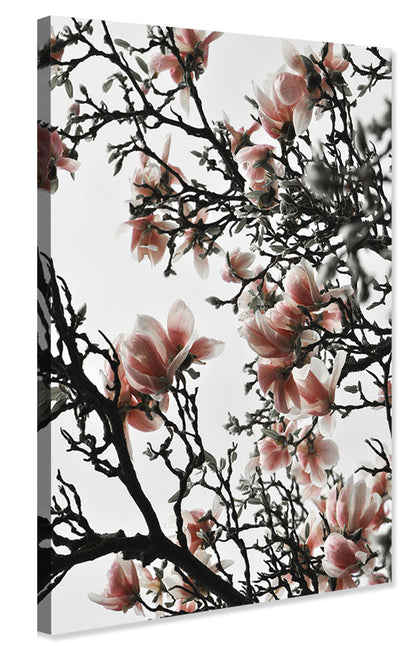 Studio Nahili -  Beautiful Blush Magnolia